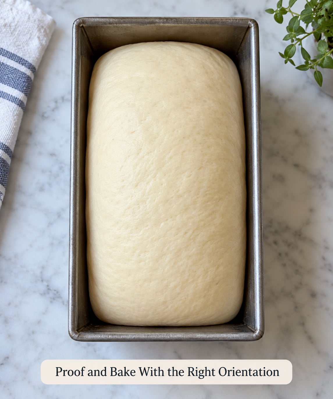 Proof and Bake With the Right Orientation